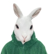 Picture of White Bunny Head Mask